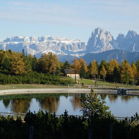 Villa Malsethhof Villandro Esterno foto